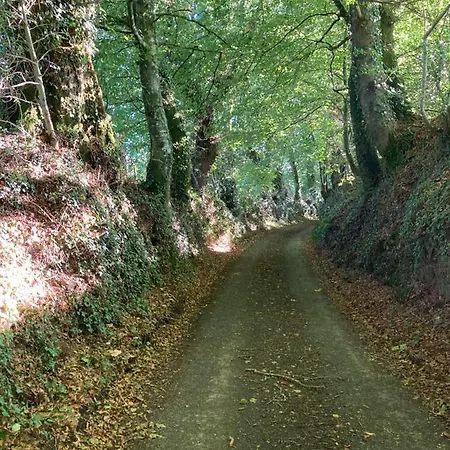 Encore Fois, Entre Deux Locmalo